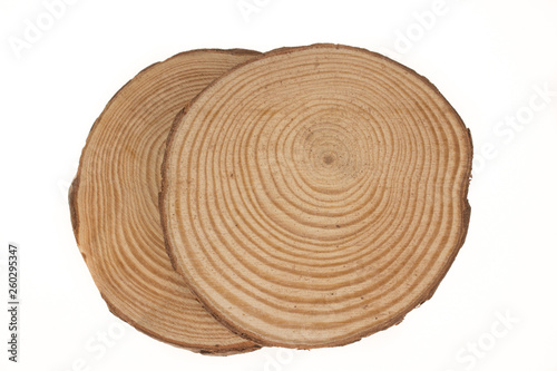 Two wooden stumps one up another isolated on the white background. Round cut down tree with annual rings as a wood texture.