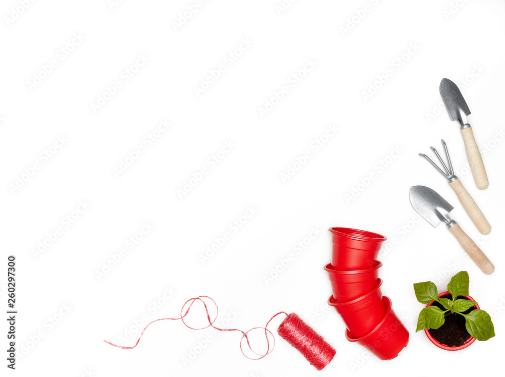 Seedlings and gardening tools