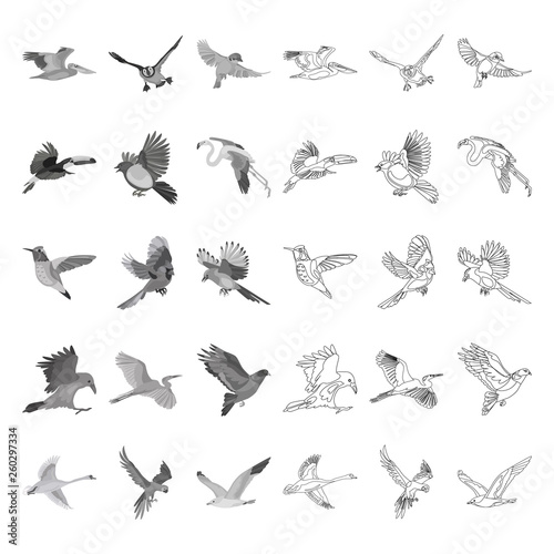 Wallpaper Mural Flying birds line and monochrome icons set vector concept Torontodigital.ca