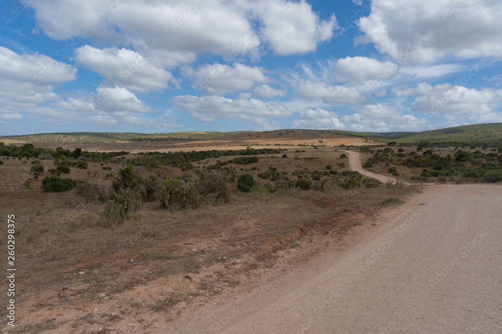 Vast African savannah landscape with unsealed road