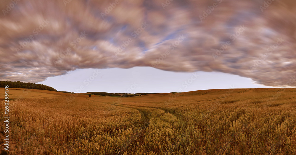 fliehende Wolken über einem Feld