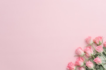 Framework from roses on pink background. Flat lay.
