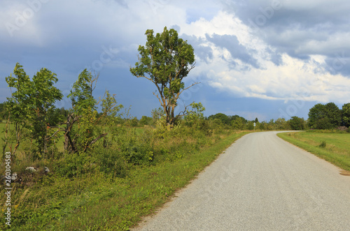 The road in the midle of the summer in Estonia.