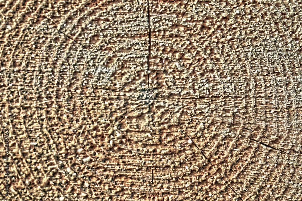 Fototapeta premium The texture of sawn wood. Abstract pattern on the cut.