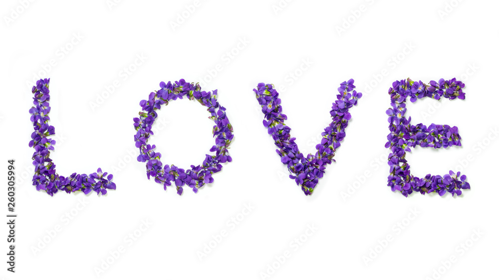 Love word writen with flowers isolated on white background. Violets love text. Valentine's day greeting card Love word writen with flowers isolated on white background. Violets love text. Valentine's day greeting card