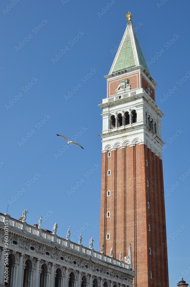 a tower and a seagull flying in the sky on a sunny day