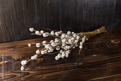 A bouquet of fluffy willow branches (Salix gracilistyla) on a wooden board background photo