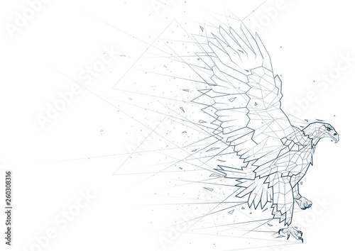Abstract Eagle from Low Poly Wireframe Isolated on White Background - Polygonal Image Mash Line Structure, Vector Illustration