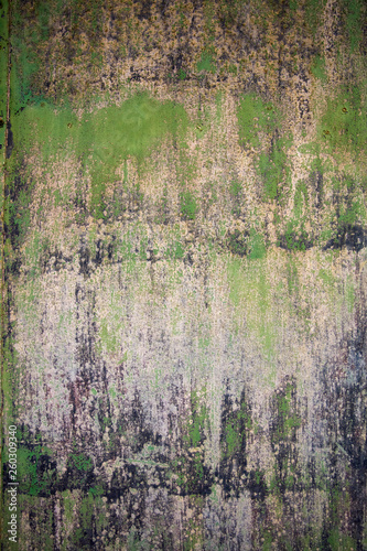 Closeup of the decayed old ...