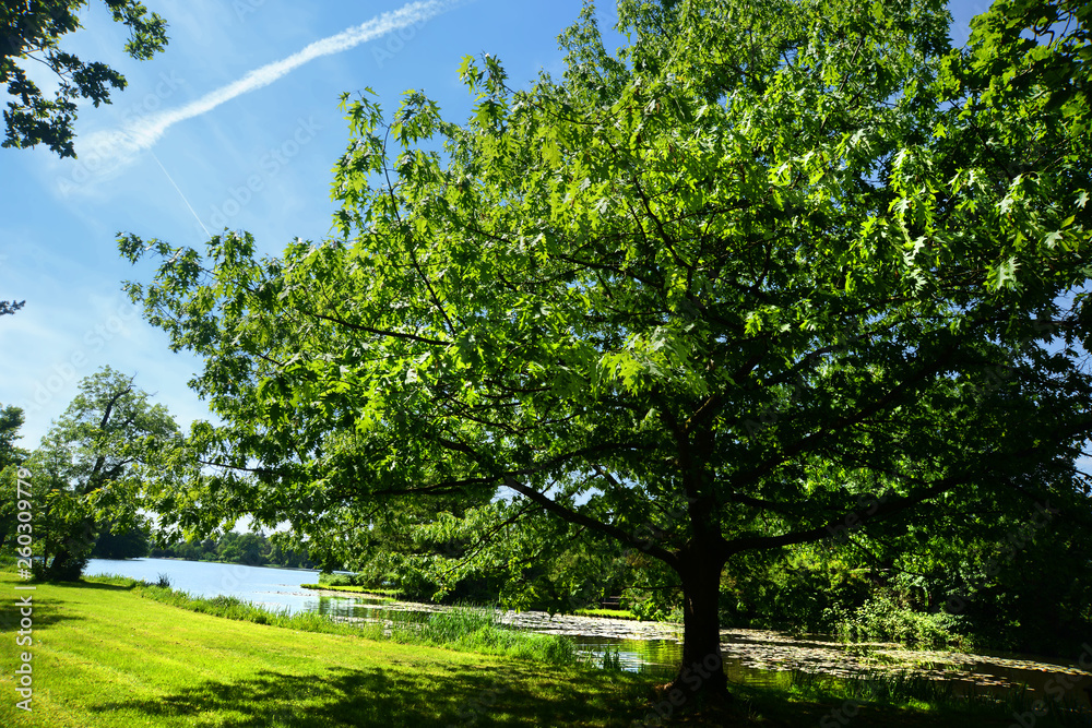 Landschaft 722 Landschaft 722