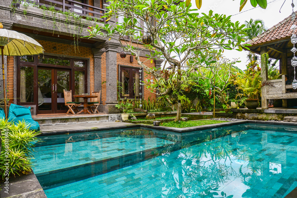 Garden on back yard with swimming pool