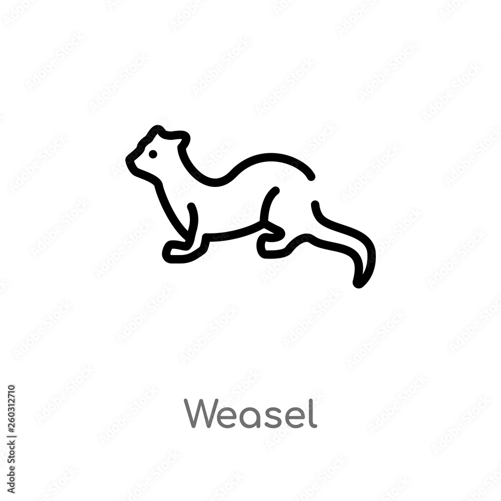 Fototapeta premium outline weasel vector icon. isolated black simple line element illustration from animals concept. editable vector stroke weasel icon on white background