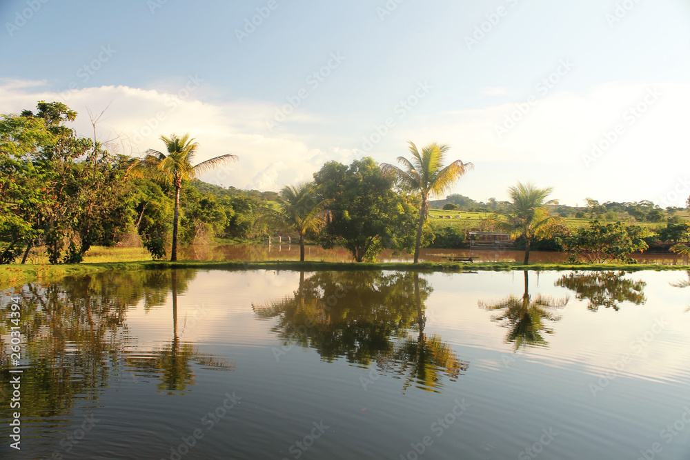 Landscape Brazil, farm rural, lake nature