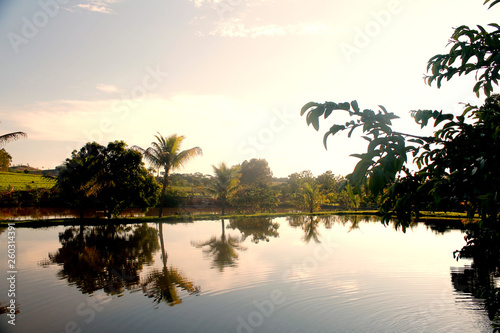 Landscape Brazil, farm rural, lake nature