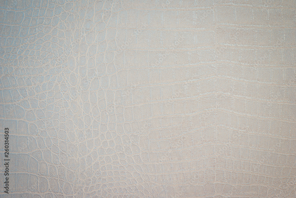 Fototapeta premium Texture of python skin close-up. Snake or crocodile skin painted in a light color. 