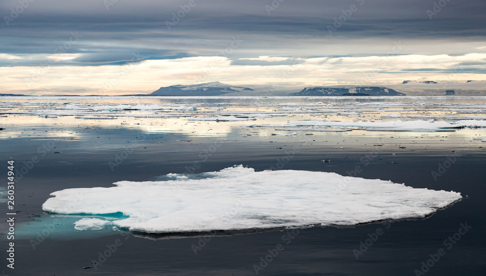 Cold landscapes and icescapes of Svalbard.