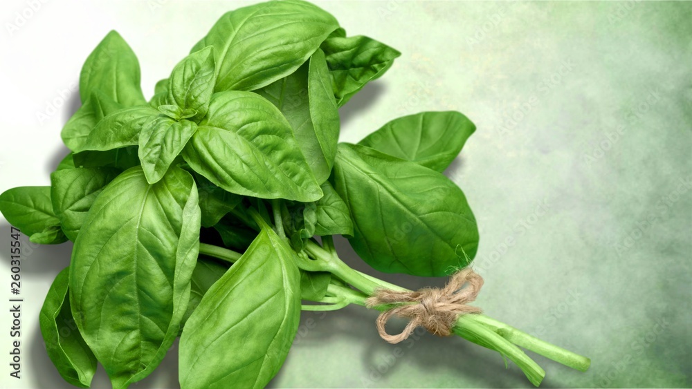 Green basil leaves on wooden background