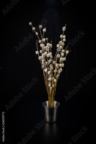 A bouquet of fluffy willow branches (Salix gracilistyla) in the metal-bucket cup photo