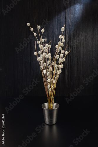 A bouquet of fluffy willow branches (Salix gracilistyla) in the metal-bucket cup photo