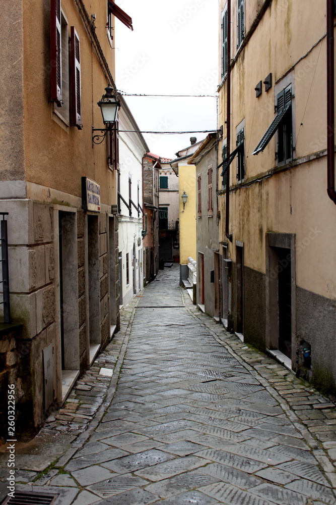 Fosdinovo, Carrara, Italy - April 2018: a street in the center of the medieval village of Fosdinovo