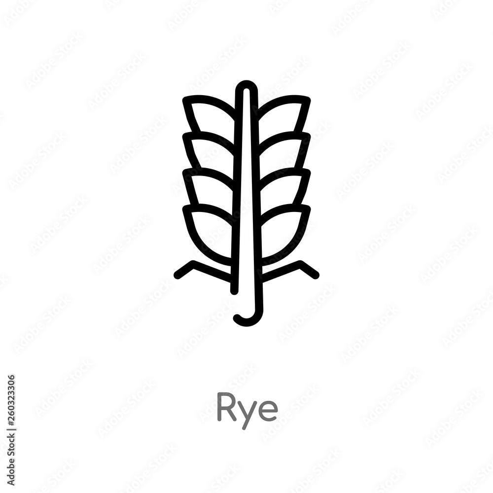 outline rye vector icon. isolated black simple line element illustration from autumn concept. editable vector stroke rye icon on white background outline rye vector icon. isolated black simple line element illustration from autumn concept. editable vector stroke rye icon on white background