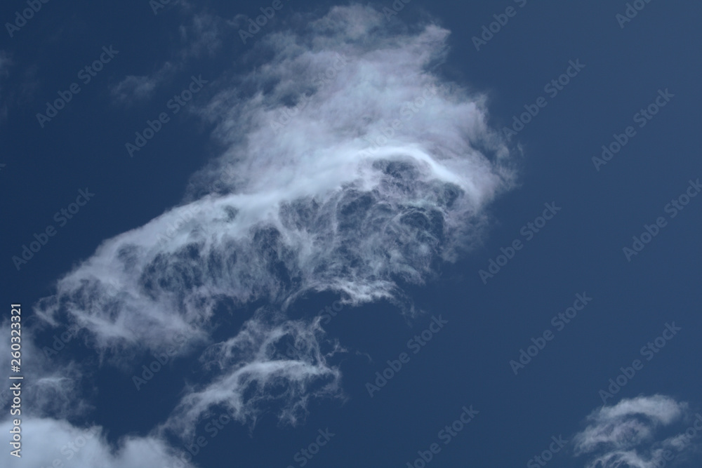 clouds in the sky,white, nature, weather, fluffy, cloudscape, light, air, clear,atmosphere clouds in the sky,white, nature, weather, fluffy, cloudscape, light, air, clear,atmosphere