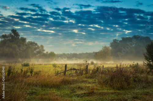 Creeping fog  haze on the field next to the forest. Abstract Nature Background. Relax. Evening for city