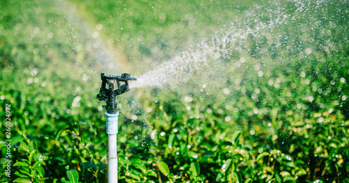 irrigation sprinkler water system