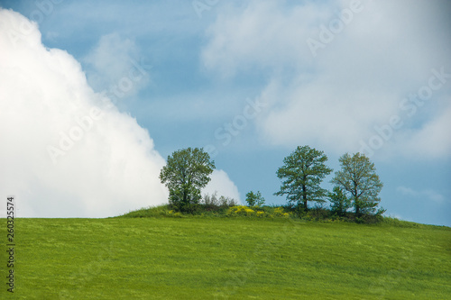 tipico paesaggio italiano, raffigurante distese verdi e cieli azzurri movimentati da nuvole bianche photo