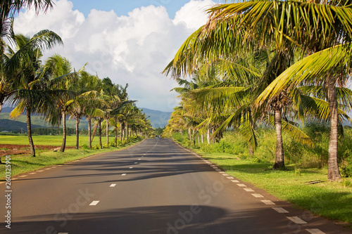 The scenic road on the island of Mauritius © Tomsickova