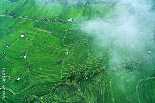 Aerial view of Jatiluwih rice terraces in the fog and clouds. Bali, Indonesia.