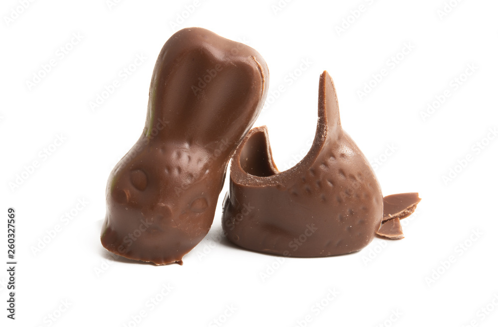 Obraz premium chocolate bunny isolated