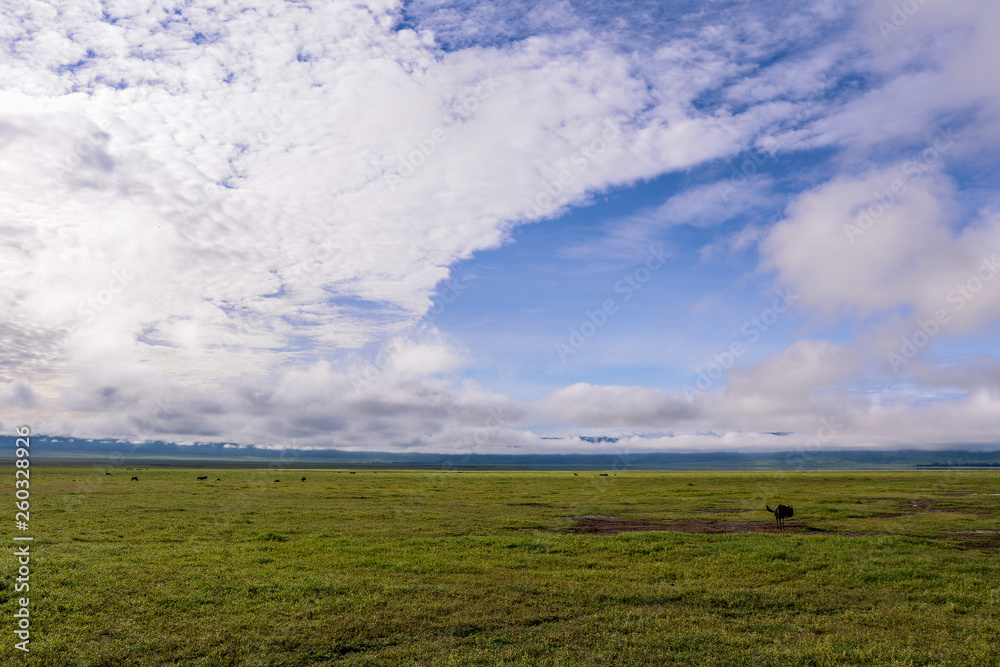 Fototapeta premium Landscape in Ngorongoro national park