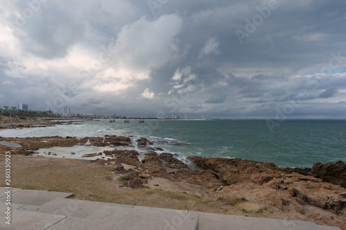 Port Elizabeth coastline with seaport and city view in the distance