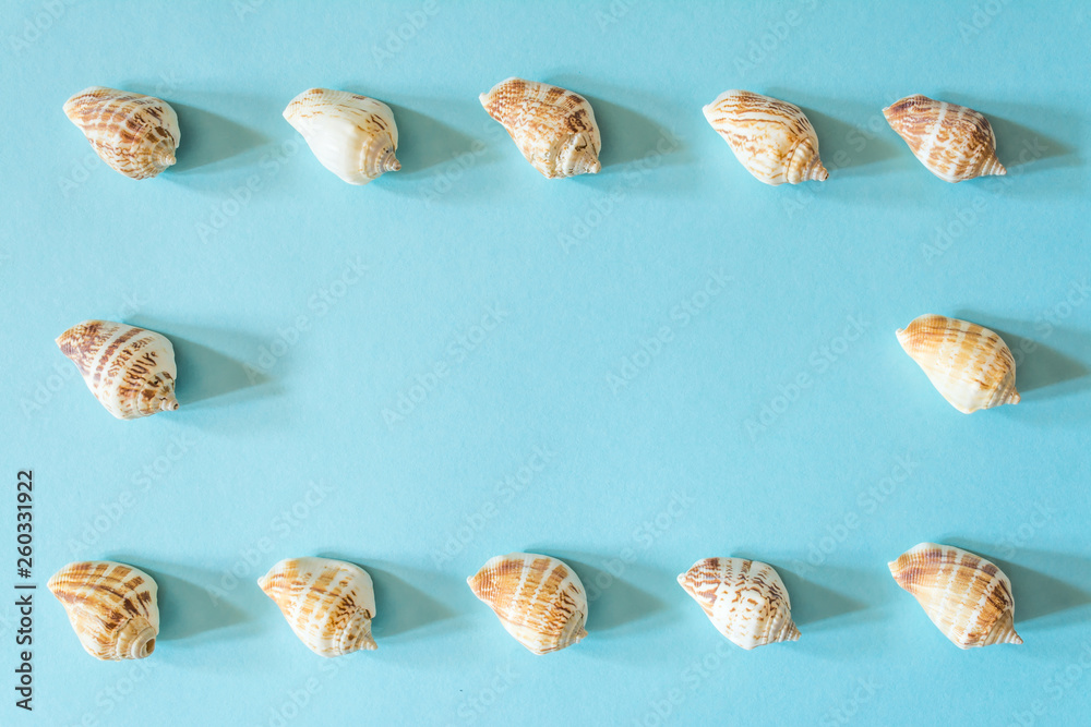 Frame of beautiful seashells on a blue background. Mollusk seashell texture. Frame of beautiful seashells on a blue background. Mollusk seashell texture.