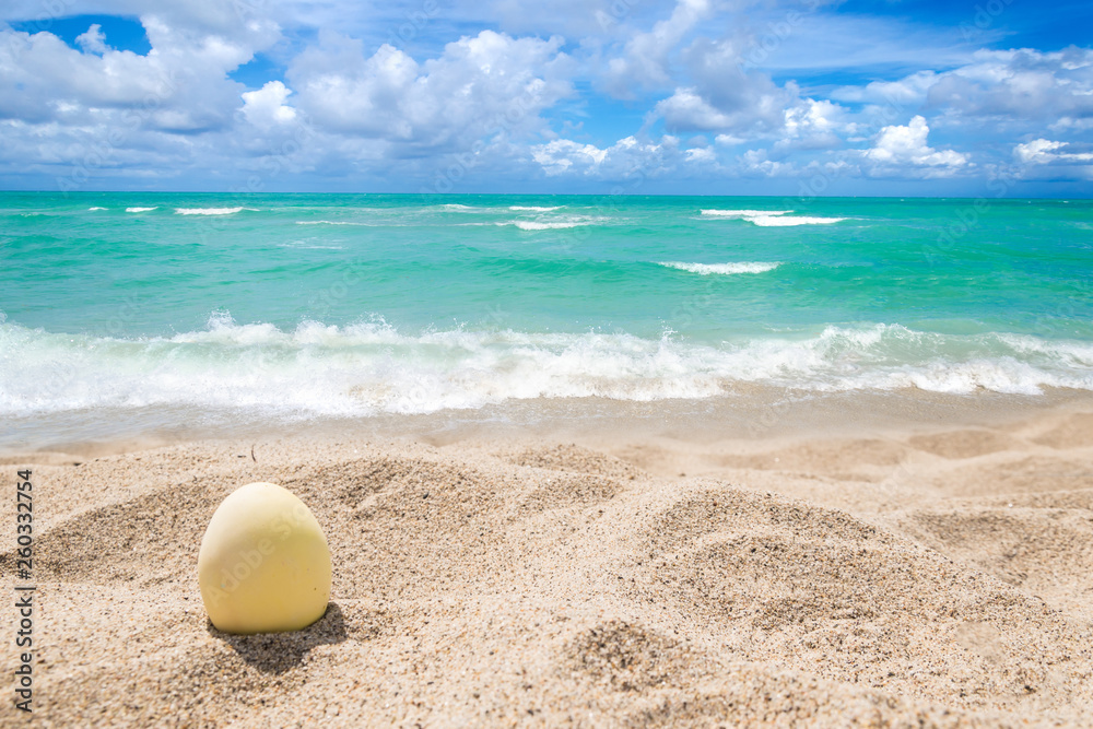 Happy easter lettering background with eggs on the sandy beach Happy easter lettering background with eggs on the sandy beach
