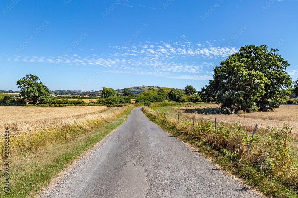 A road running through the Sussex countryside, on a sunny summers day
