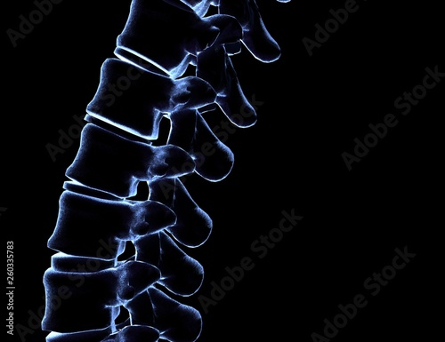 Skeletal human spine on Black 3D Rendering photo