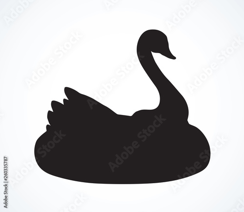 Swan. Attraction for swimming. Vector drawing