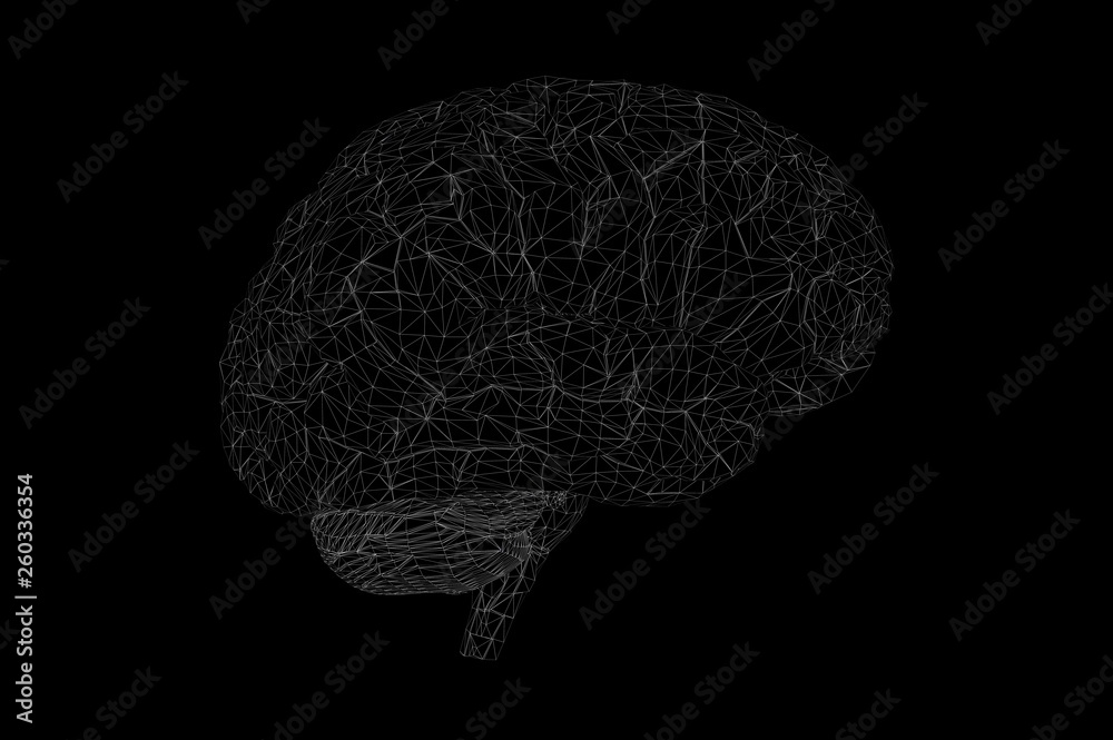 Human Brain Anatomical Model 3D Rendering Human Brain Anatomical Model 3D Rendering
