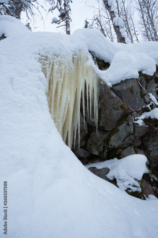 Icicles hanging over rock in the forest Icicles hanging over rock in the forest