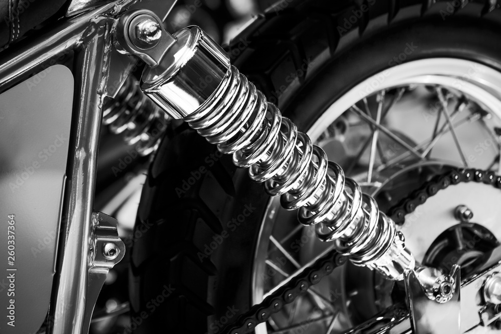 Obraz premium Race car disc brake and shock absorber