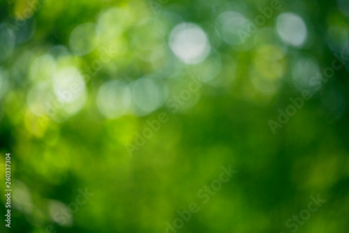 Bokeh juicy green leaves