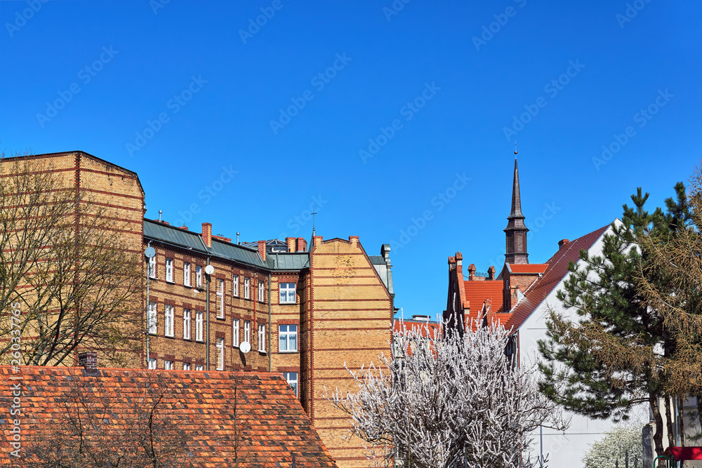 a white-flowered tree and a red brick house with a tower in Poznan.