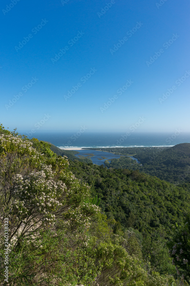 Fynbos bush with ocean and lagoon view and forest mountains