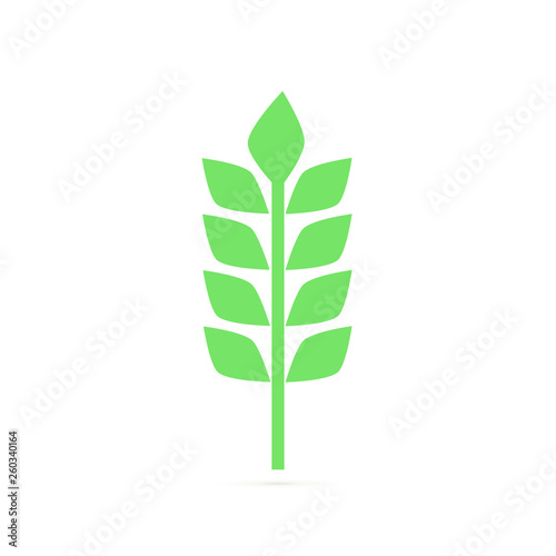 Two spikelets of barley with green leaves. Cereal plant. Agricultural crop. Harvest theme. Flat vector design