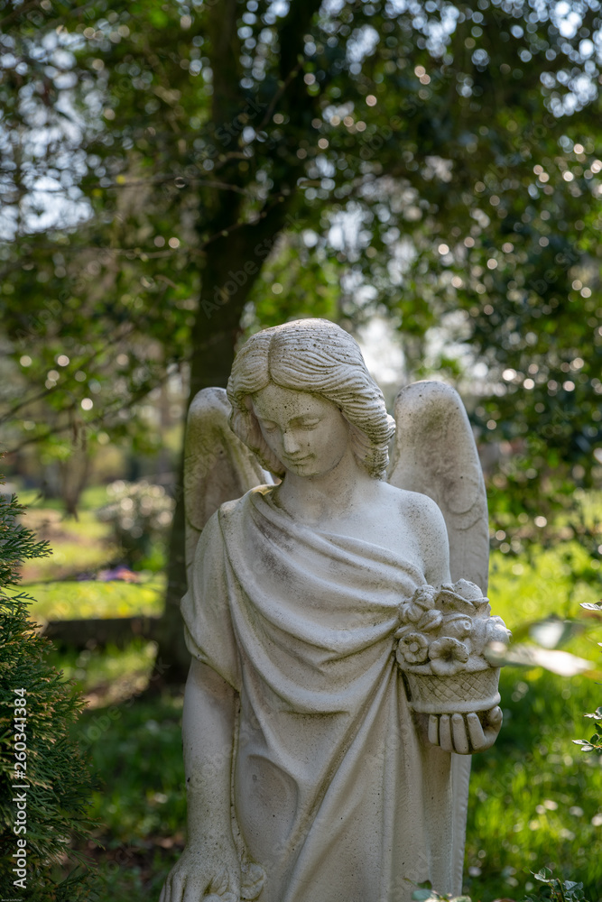 Fototapeta premium Schöner großer Engel