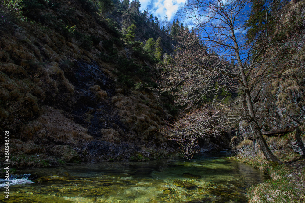 Grüner Gebirgsbach mit Spiegelungen Grüner Gebirgsbach mit Spiegelungen