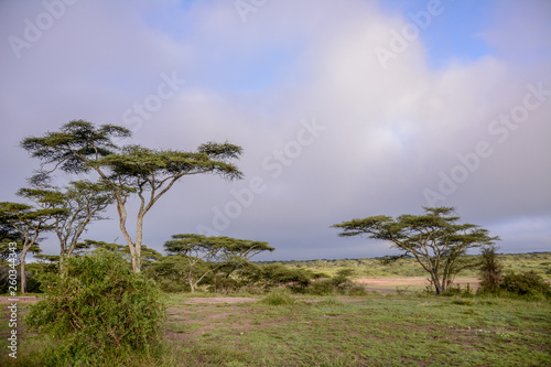 Landscape in Manyara national park photo
