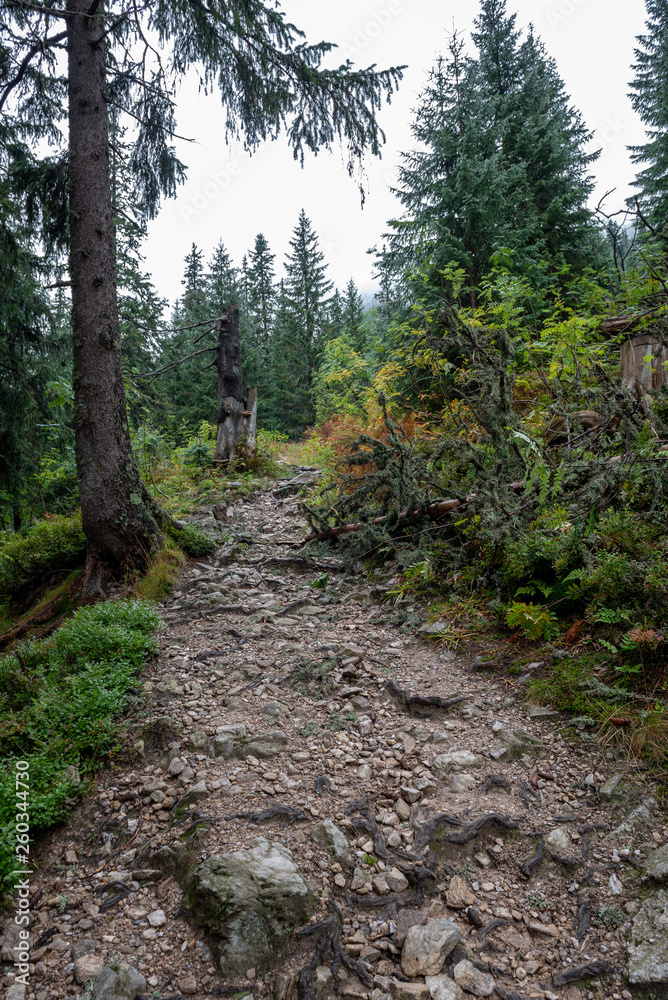 tourist trails in Slovakia Tatra mountains in autumn. cloudy day tourist trails in Slovakia Tatra mountains in autumn. cloudy day